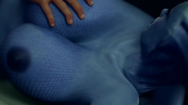Liara 2 1080p porn