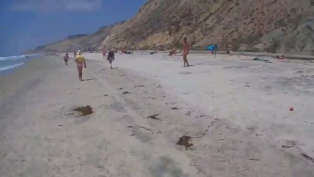 Cfnm_day_at_blacks_beach_6.8.2014