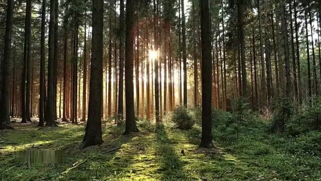 Tina husband wife hardcore 2022 tina nandi hindi hot short film.mp4