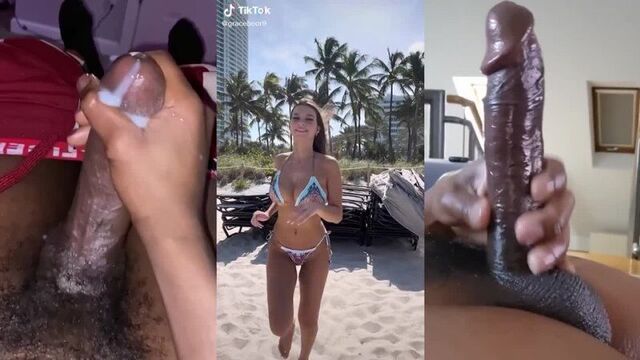 Babecock 13
