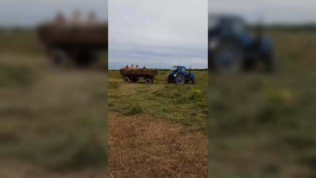 Сенокос