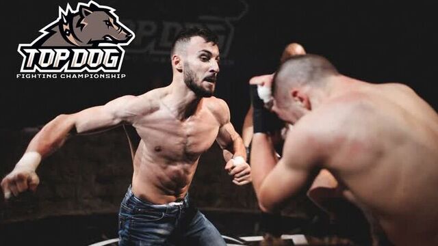 Top dog | топ дог | tdfc iii | эмин "шин" алиев vs. александр "тарас"