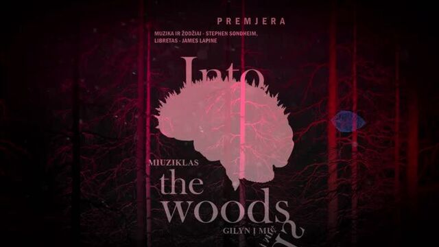 Ждёт тебя лес / into the wood