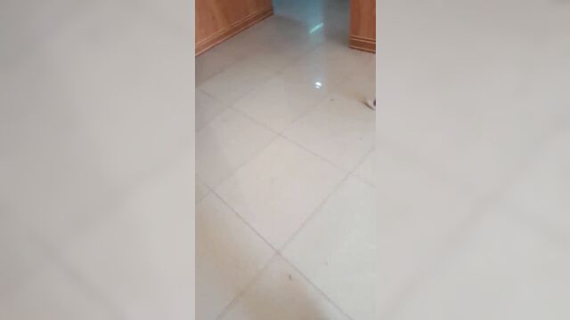 Hot vietnamese chick with cute round ass gets fucked in a sneaky shot