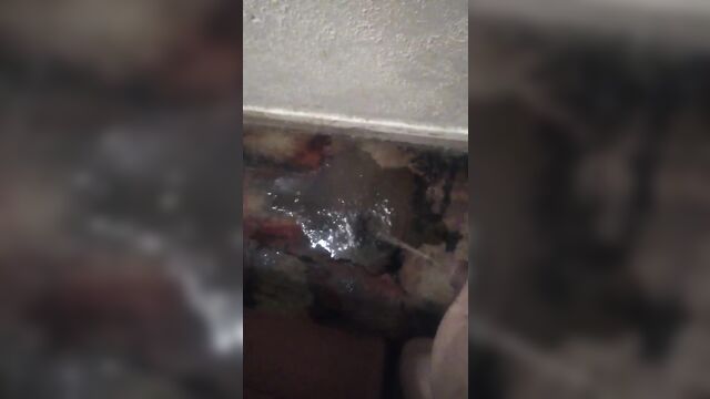 I really had to pee so i pissed on the carpet in my apartment