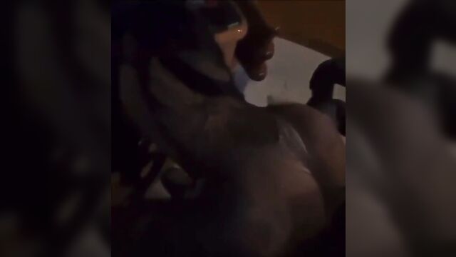 Cardi b twerks her big booty in nyc, showing off her bbl