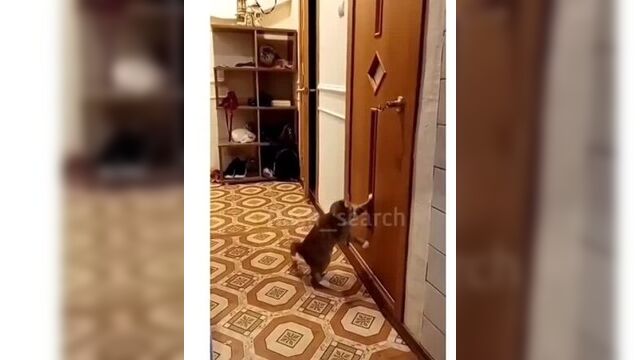 Закройся