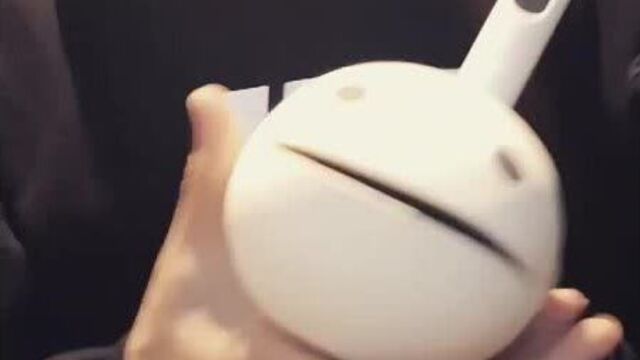 Otamatone otamatone