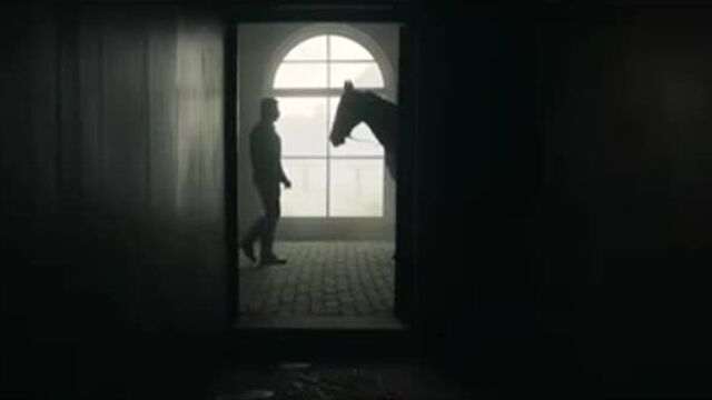 Latest #leaked film trailer srk on #holi2019, watch badshah shah rukh khan over-coming his horse fear.
