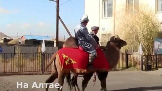 Video by подслушано темников | мордовия #1
