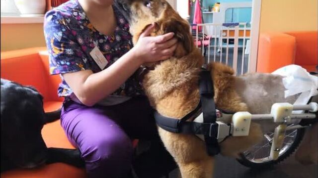 Лайф♥