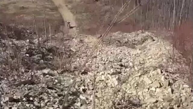 Побег gj,tu