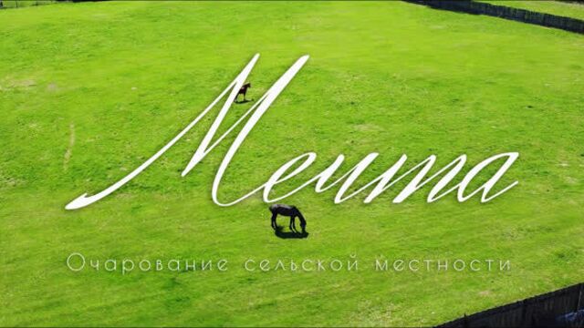 Зообаза "мечта"