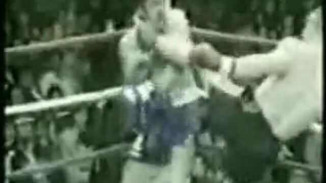 Mirko(mixfight)