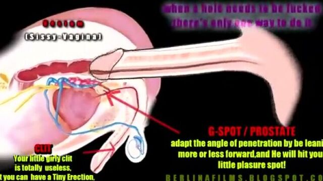 Как достигнуть анальный оргазм! обязательно к просмотру [sissy, shemale, trap, orgasm, cum, sex, slut]