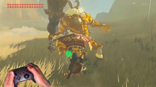 Master of the legend of zelda: breath of the wild