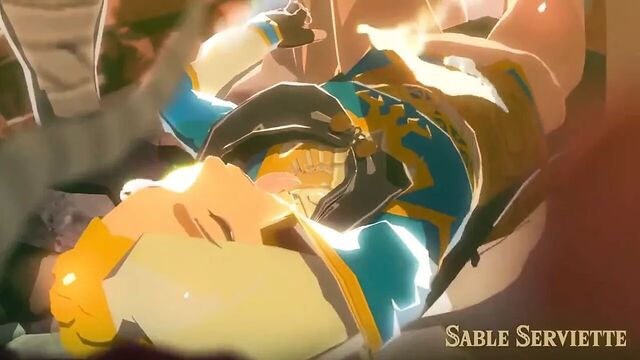 Sable serviette - princess zelda
