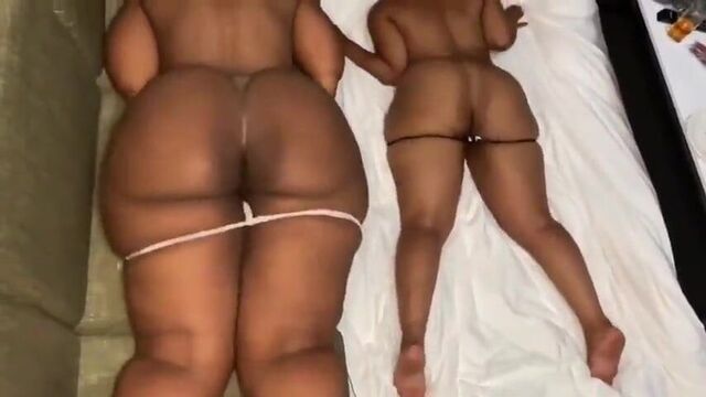 Big booty bitches