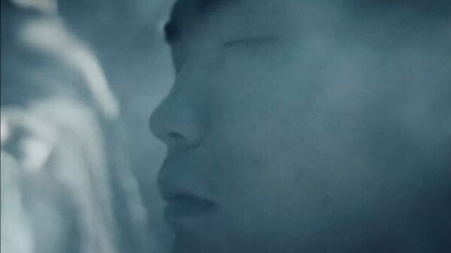Teaser top dog 18