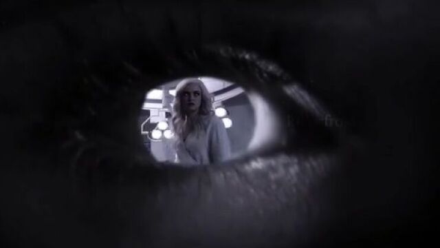 Killer frost vine